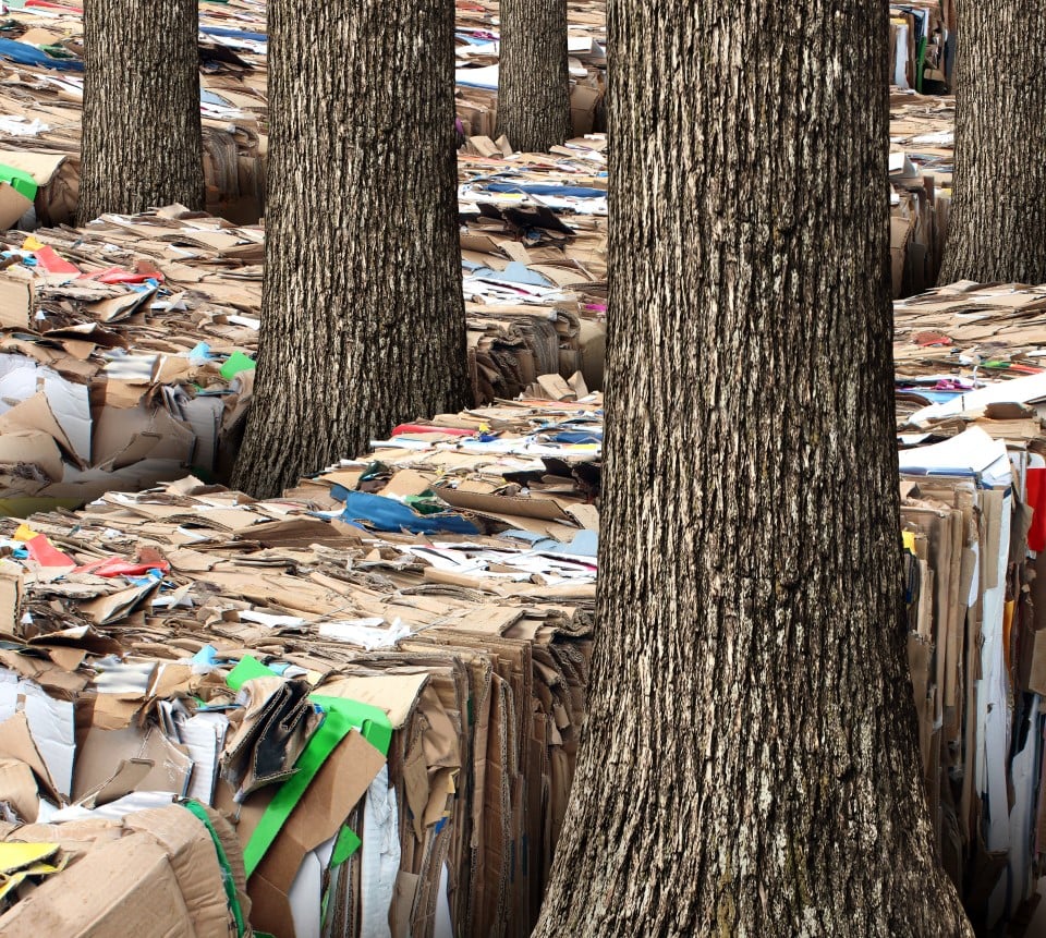 De groeipijnen van de recyclingindustrie