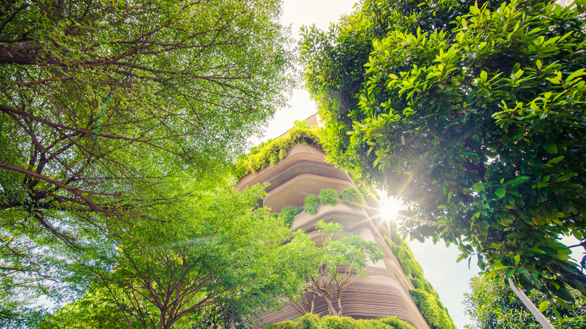 Edifici green