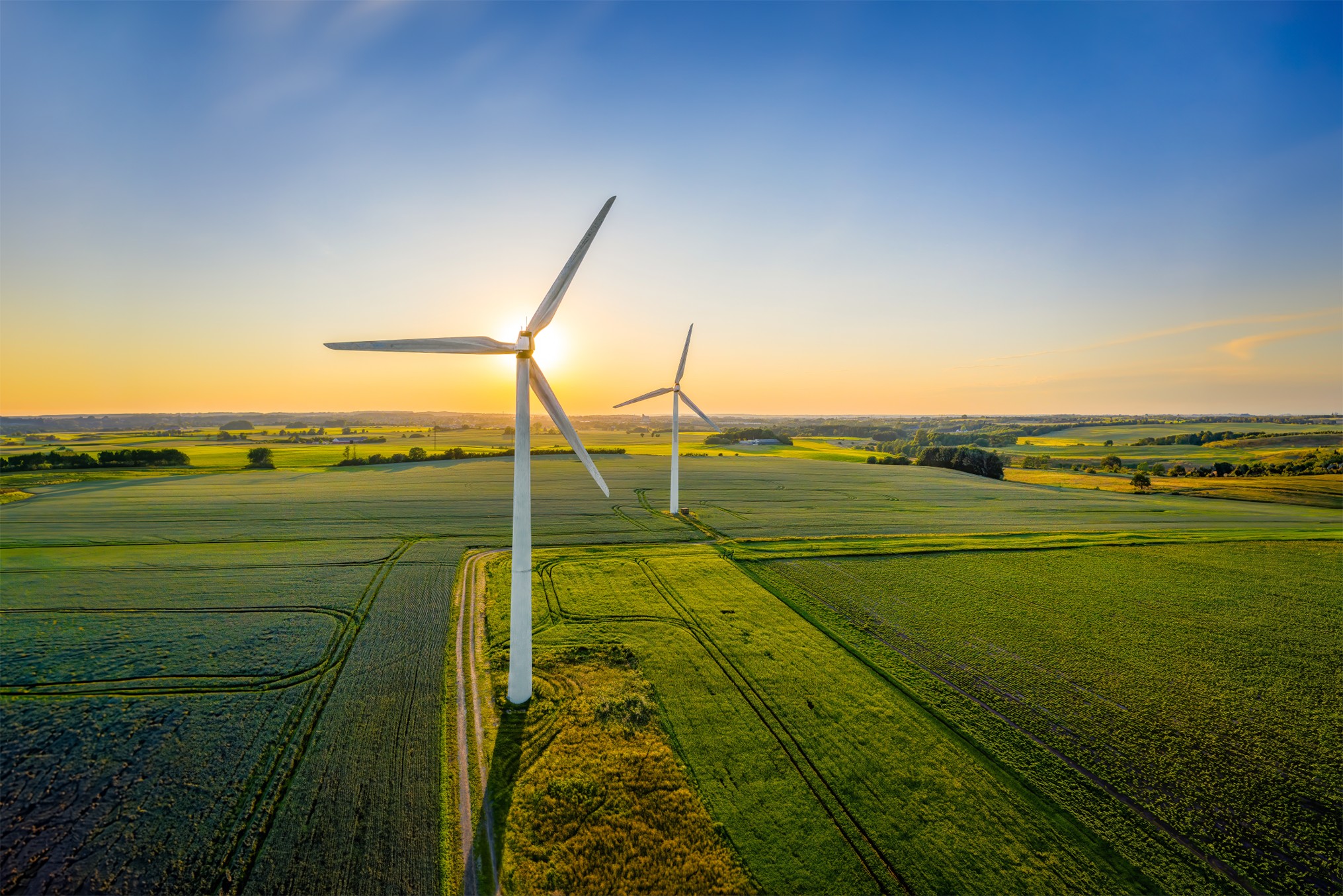 Wind turbines in a field at sunrise