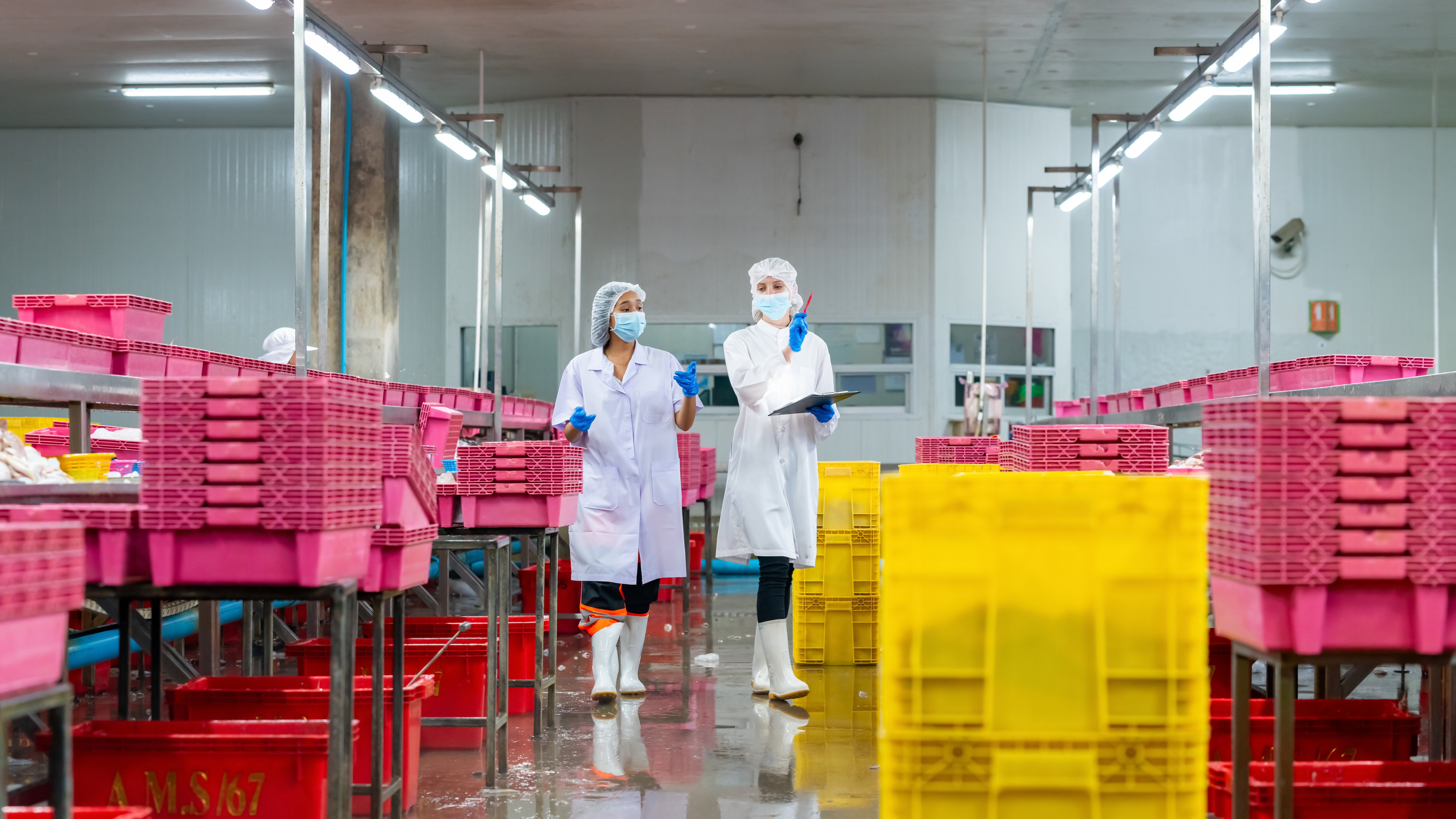 Auditors in factory pink boxes
