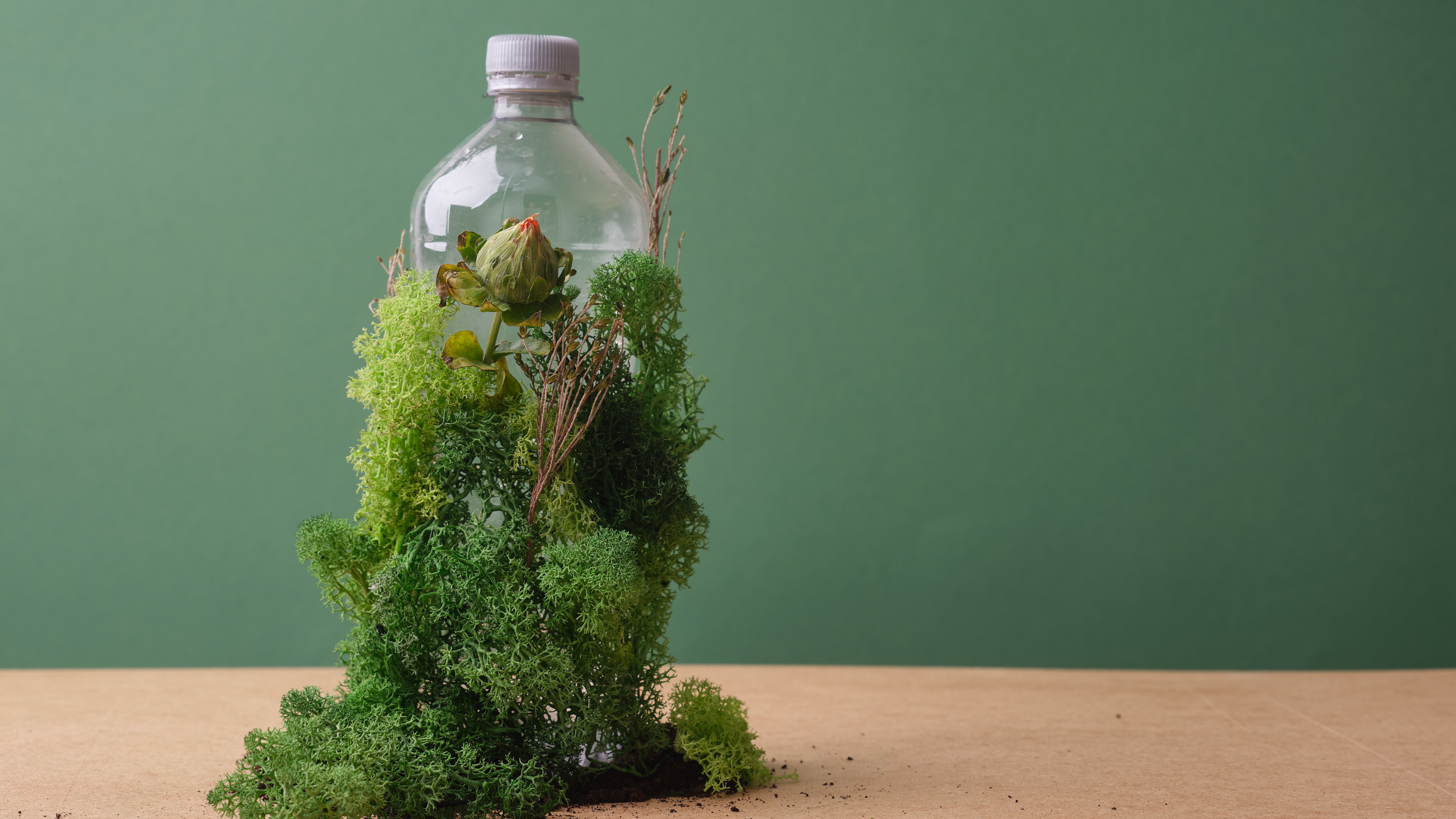 Bottle covered in moss and small plants on a wooden surface against a green background.