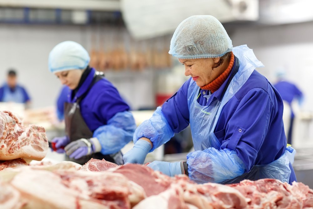 GRMS inspection on a meat factory